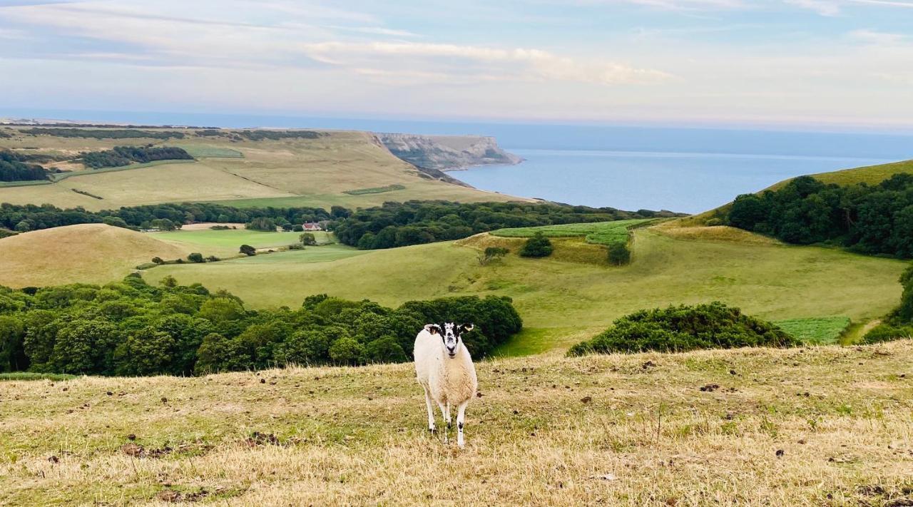 The Lookout Daire Swanage Dış mekan fotoğraf